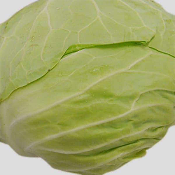 Cabbage 1pcs