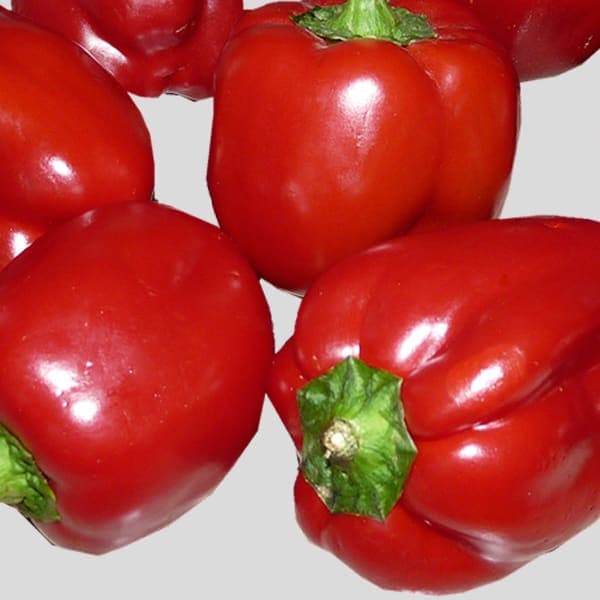 Red Capsicum