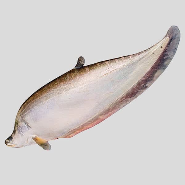 Chital Fish 1kg